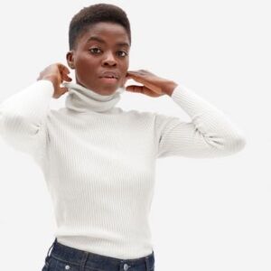 Everlane Italian wool ribbed turtleneck sweater